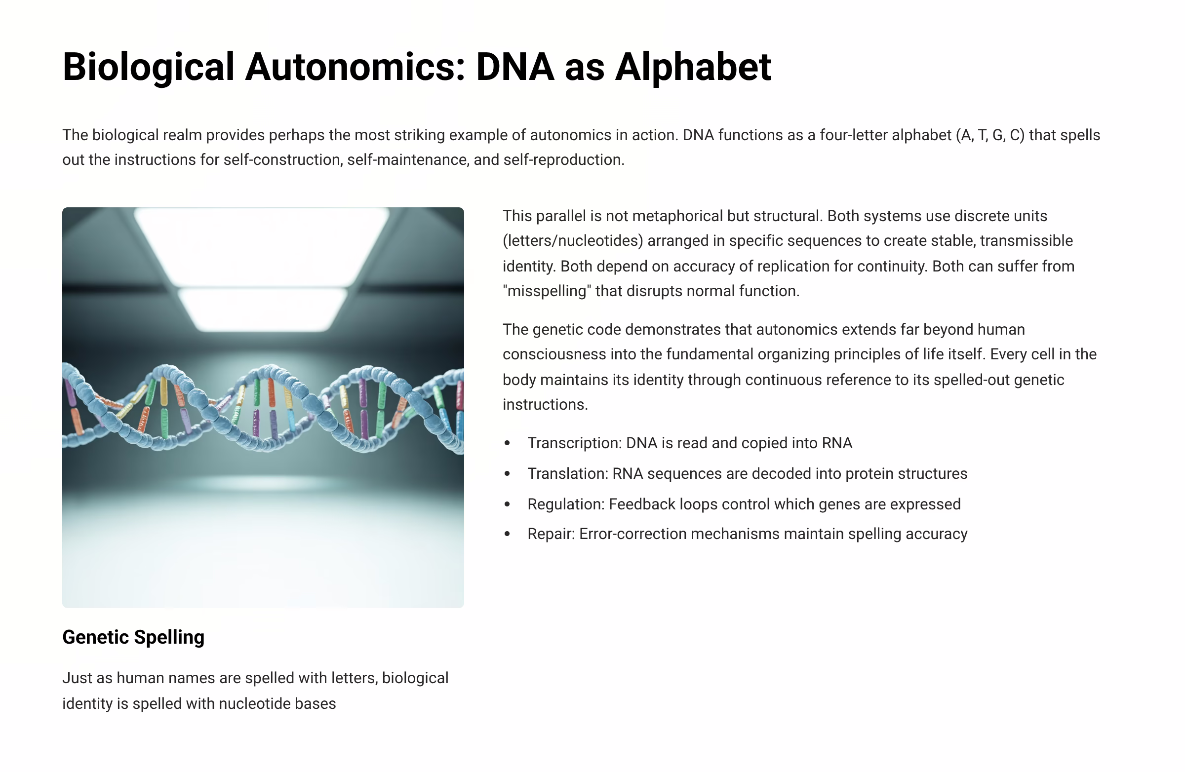 Autonomics: The Law of Self