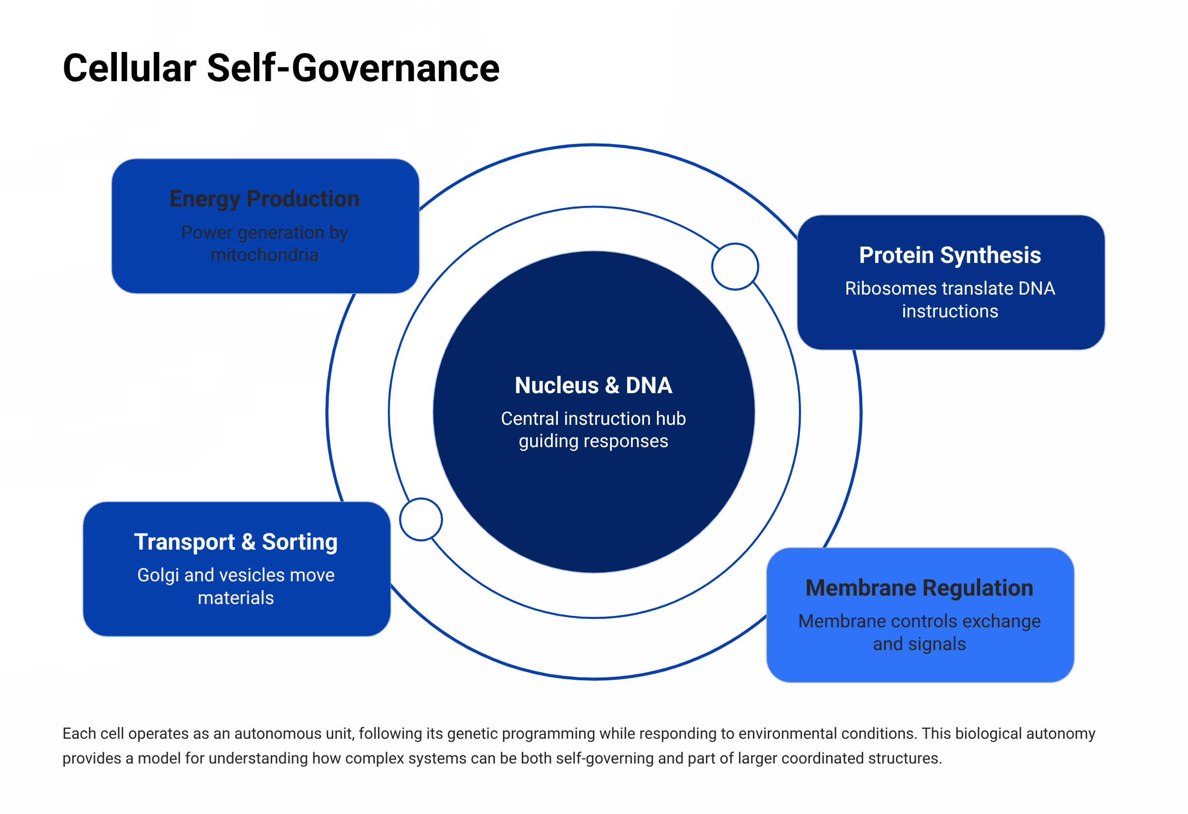 Autonomics: The Law of Self